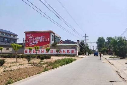 广东墙体广告的现状、特点与发展策略